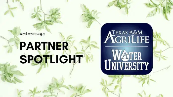 PlantTAGG partner spotlight - AgriLife Water University