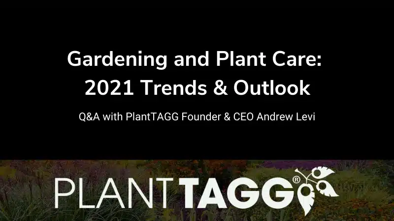Gardening Trends Q&A