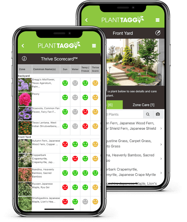 PlantTAGG – Smart Gardening