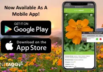 PlantTAGG Mobile App Now Available