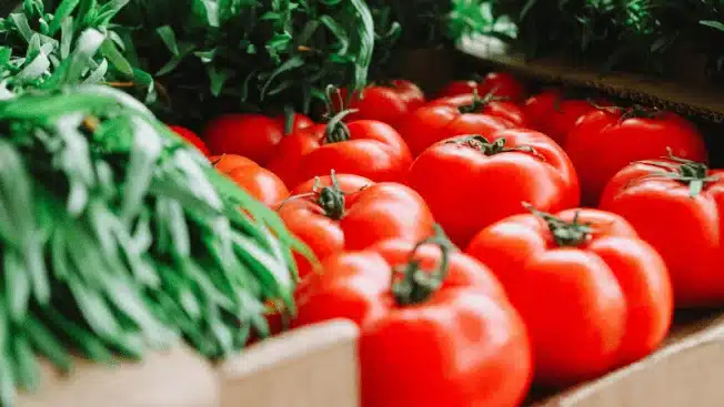 growing vegetables - tomatoes