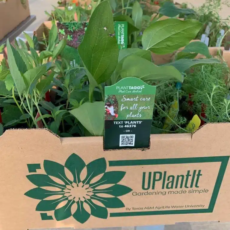PlantTAGG and UPlantIT