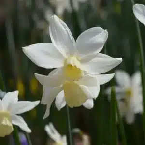 WIDSC_0301252B.JPG.jpg