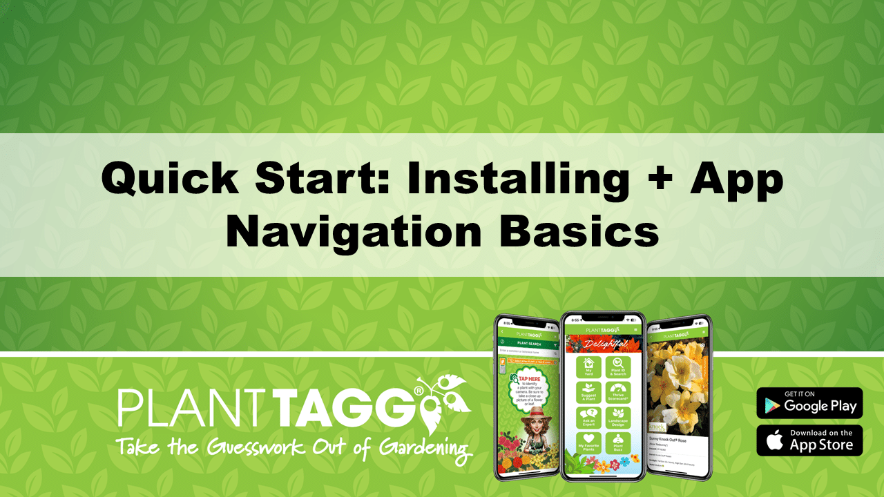 Installation & Navigation Tutorial Video