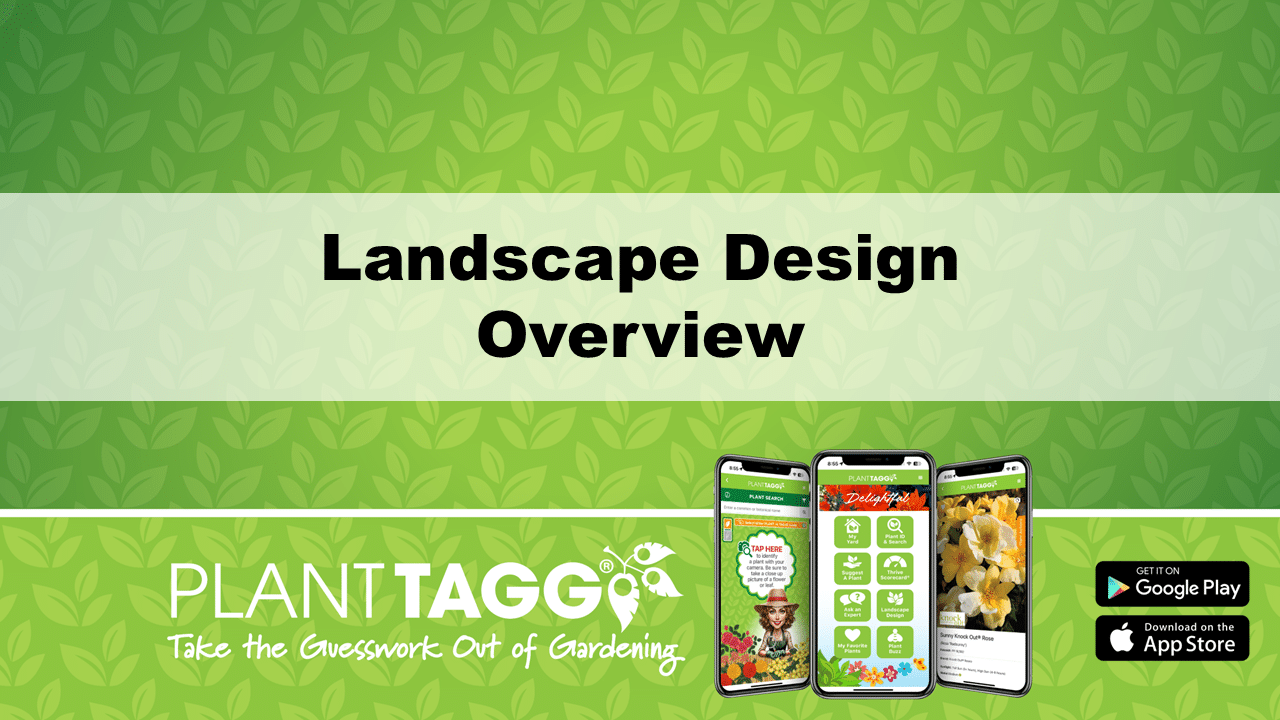 Landscape Overview