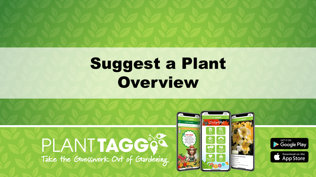 Suggest a Plant Tutorial Video