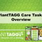 Plant Care Tasks Overview Video