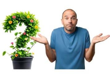 Guy with gardening questions, arms up