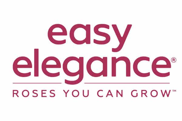 Bailey_Easy Elegance