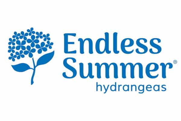 Bailey_Endless Summer