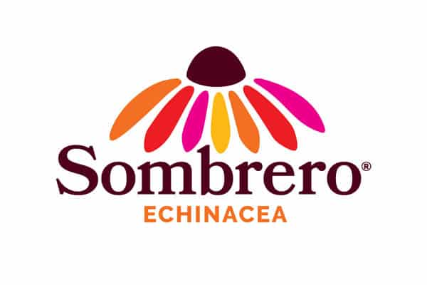 Ball_Sombrero