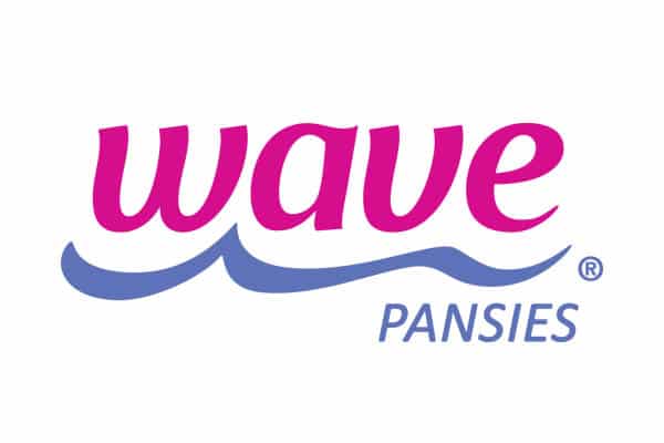 Ball_Wave Impatiens