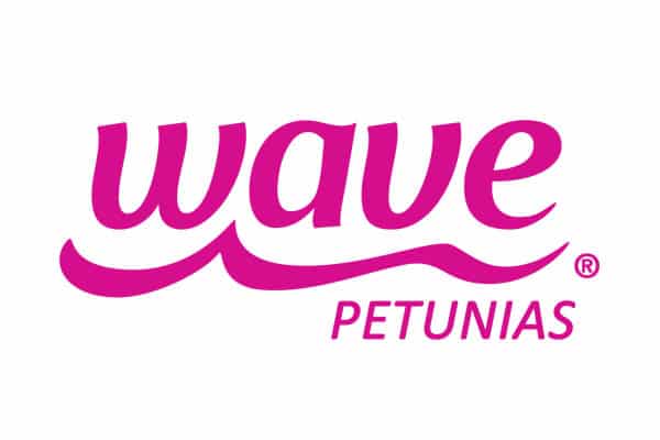 Ball_Wave Petunias