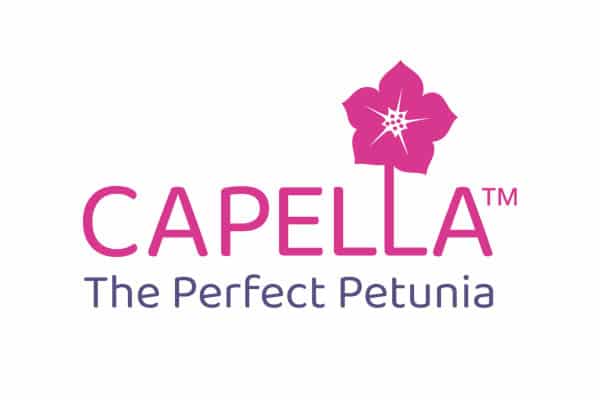 Danziger_Capella