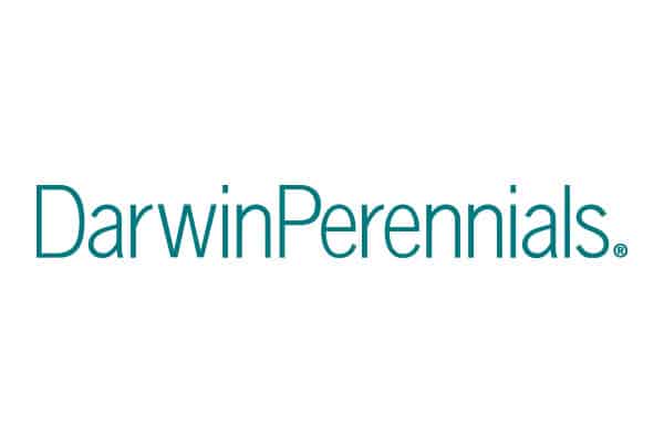 Darwin Perennials_Breeder