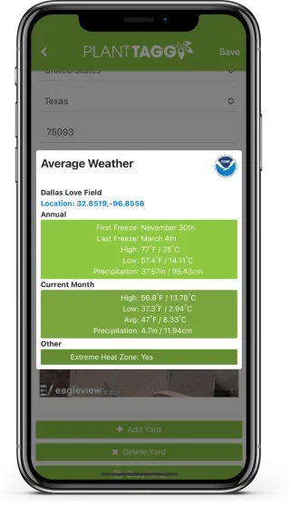 Weather